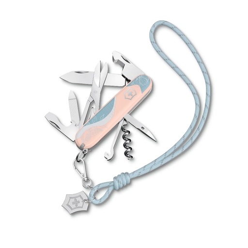 [VI/1.3909.E221] Victorinox - Companion Paris Style